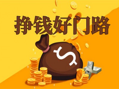 網(wǎng)絡賺錢培訓項目風險分析