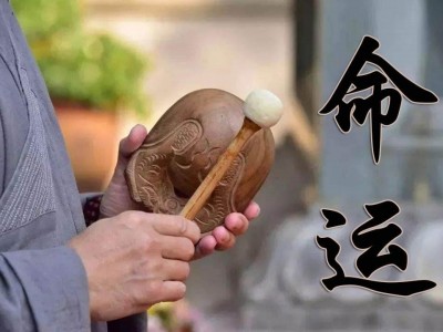 免費(fèi)取名，八字算命，暴利項(xiàng)目月賺100000+