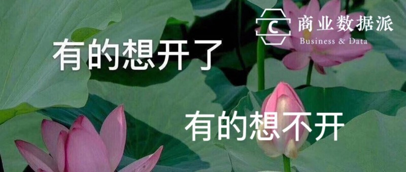 搞錢的小紅書，終于想開了