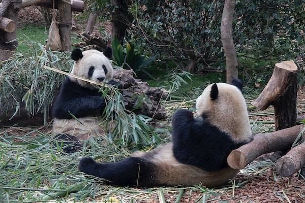 抖音買1000粉在哪買？有效果嗎？