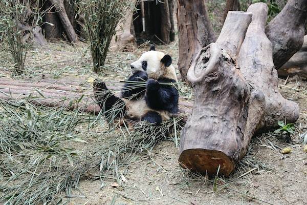 拼多多撤銷售后次數(shù)上限怎么辦？還能再申請嗎？