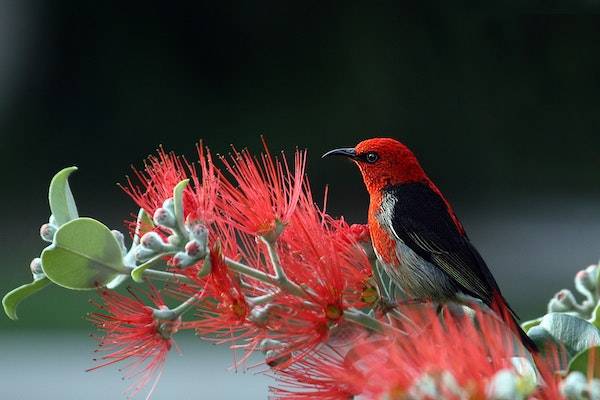 拼多多價格保護規(guī)則是什么？怎樣申請？