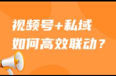 私域+視頻號(hào)如何高效聯(lián)動(dòng)，引爆閉環(huán)增長(zhǎng)？