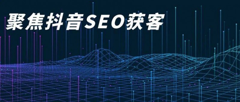 權(quán)重的游戲——B2B抖音，SEO為王