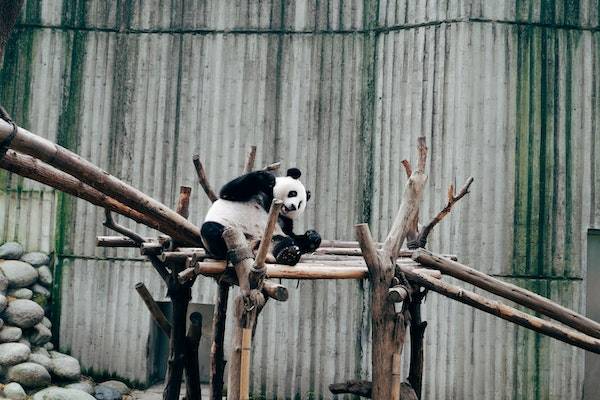 抖音火苗斷幾天會清零？每天多少封頂？