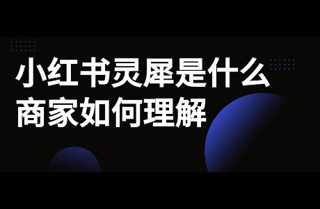 小紅書靈犀是什么？對(duì)商家運(yùn)營(yíng)有何借鑒意義？