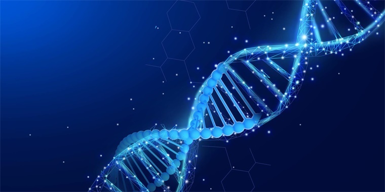 科學家破譯單粒小麥DNA，推出更有彈性、營養(yǎng)豐富的面包品種