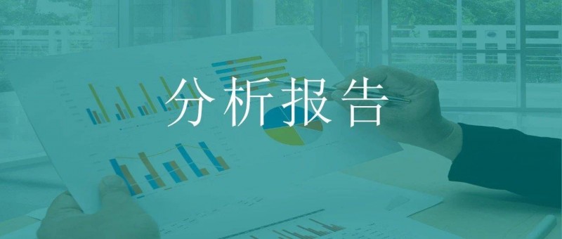 經營分析必備之 年度分析報告模版