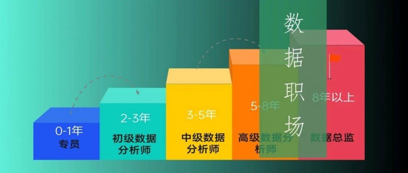 業(yè)務(wù)型 VS 技術(shù)型數(shù)據(jù)分析師，哪個(gè)更有前途？