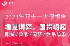 2023年抖音雙十一電商數(shù)據(jù)報告