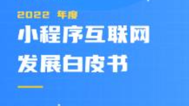 2022 年度小程序白皮書發(fā)布