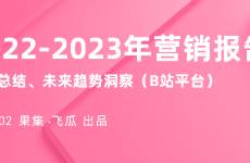 2022-2023年營銷報告