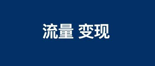 白楊SEO 有流量，變現(xiàn)弱怎么解決？