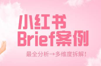 這次一定教會(huì)你怎么寫！多個(gè)品牌種草Brief實(shí)例拆解！