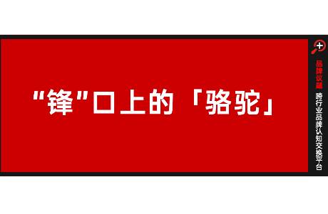 從硬核戶外到氛圍感穿搭，駱駝改寫「沖鋒衣」