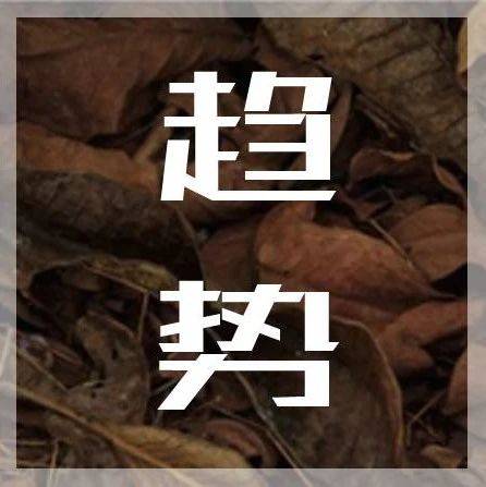 五大社交關(guān)鍵詞，引領(lǐng)2024營(yíng)銷趨勢(shì)