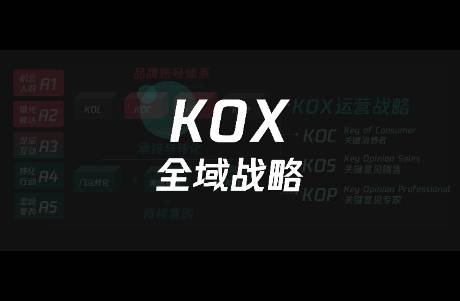 從10個(gè)KOS與KOC高頻運(yùn)營實(shí)戰(zhàn)問題，反思打法對錯(cuò)