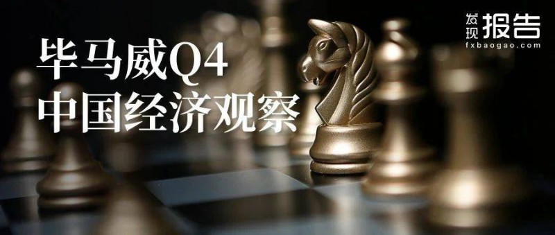 2024Q4中國(guó)經(jīng)濟(jì)觀察 促消費(fèi)惠民生兩手抓