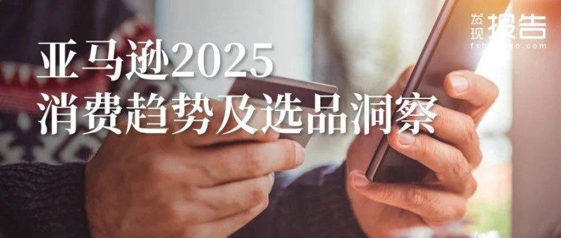 2025全球電商消費趨勢及選品洞察報告