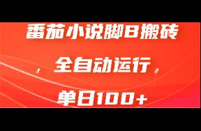 《番茄小說腳B搬磚，日入100+，全自動運行攻略》