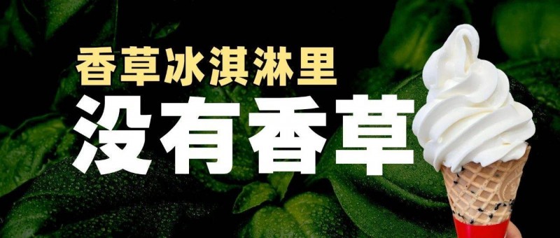 你吃的香草冰淇淋里沒有香草