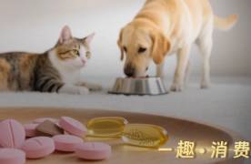 這屆鏟屎官，每年花上萬元給寵物養(yǎng)生保健