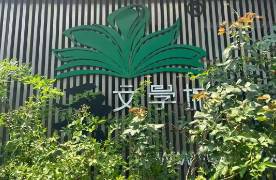 晉江文學(xué)城VS哇唧唧哇！版權(quán)大戰(zhàn)震動500億元短劇市場