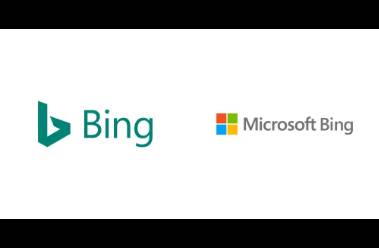 Bing Ads搜索廣告助力庭院照明出海歐美賽道獨(dú)具優(yōu)勢