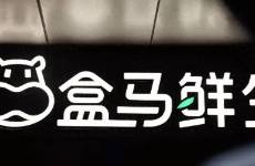 創(chuàng)立十周年的盒馬，今年想再開100家門店