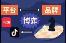 品牌與平臺(tái)的再博弈 2025紅書矩陣是新解藥嗎？