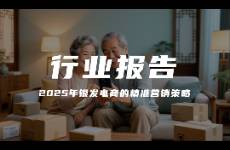 報告分享｜《2025年銀發(fā)電商的精準(zhǔn)營銷策略》