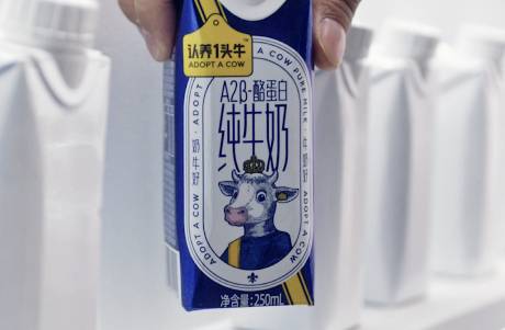 從認養(yǎng)到自養(yǎng) 認養(yǎng)一頭牛扎進乳企紅海