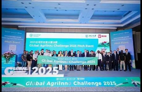 土到極致就是潮！拼多多如何給世界點滿種菜天賦？