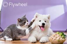 還在吃預制菜的人，讓寵物吃上了鮮食