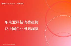 東南亞科技消費(fèi)趨勢及中國企業(yè)出海洞察