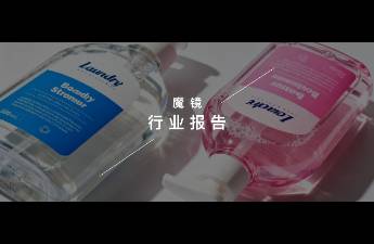 魔鏡洞察AI+數(shù)據(jù)賦能-家清個(gè)護(hù)閉門會(huì)主題演講圓滿結(jié)束！