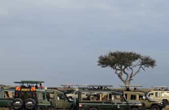 東非草原大堵車，真是中國(guó)游客扎堆擠出來的？