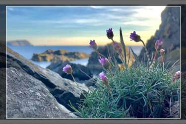 雙十一驚喜任務是什么？淘寶雙十一